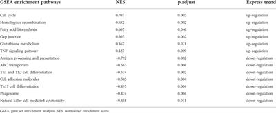 No safe renal warm ischemia time—The molecular network characteristics and pathological features of mild to severe ischemia reperfusion kidney injury